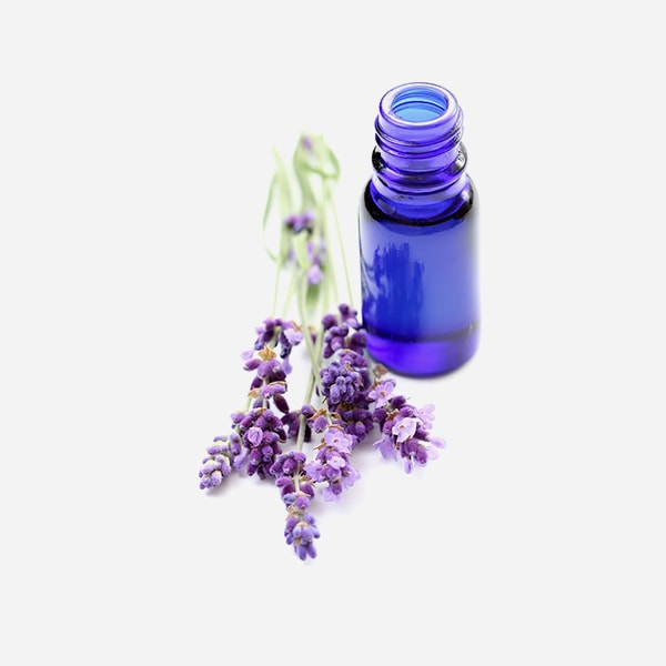 Massage Oil